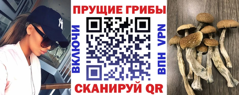 Псилоцибиновые грибы MAGIC MUSHROOMS сколько стоит Кострома