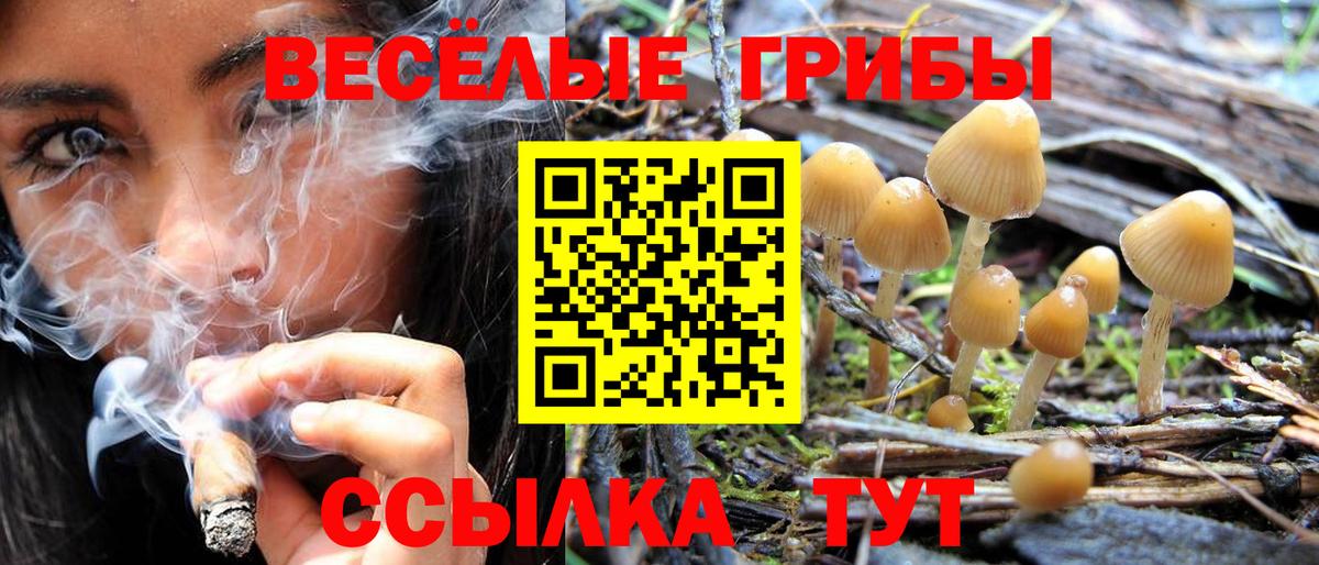 даркнет сайт  Галлюциногенные грибы мицелий  Вход с VPN  Кострома 