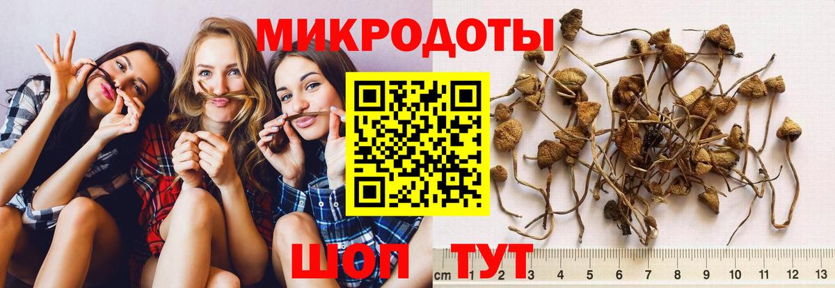 Псилоцибиновые грибы прущие грибы Кострома