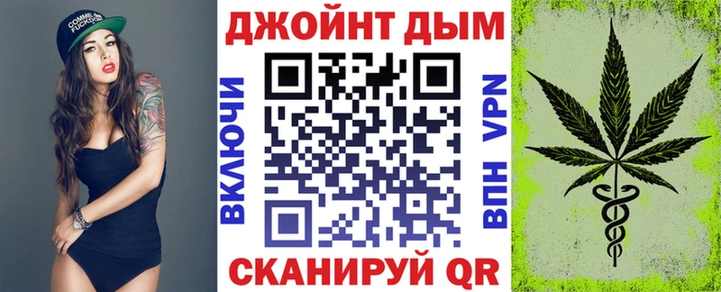 дарнет шоп  Кострома  mega как зайти  Бошки марихуана семена 