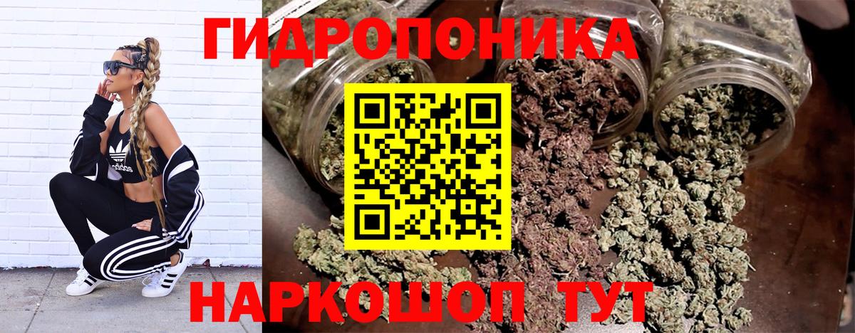 Бошки Шишки White Widow Кострома